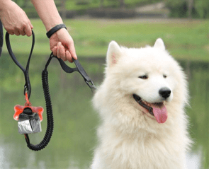 Dispensador de bolsas para excrementos de perro