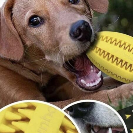 Pelota de rugby para perro
