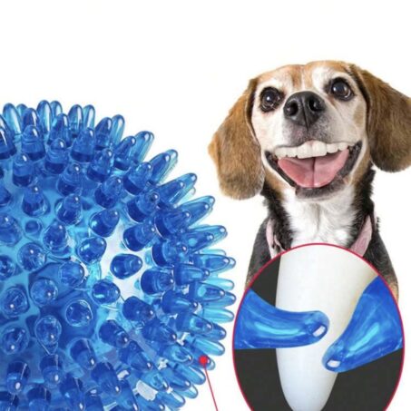 Pelota con picos chirriante