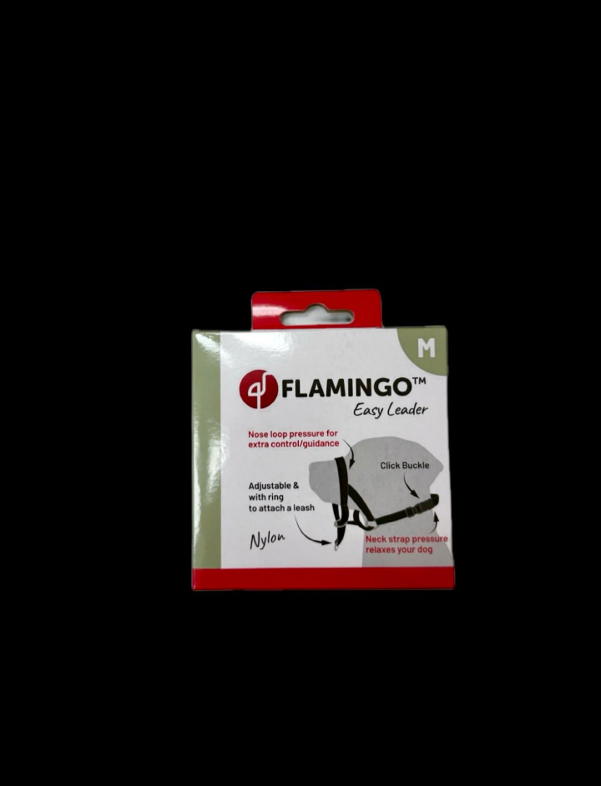 ARNES ADIESTRAMIENTO