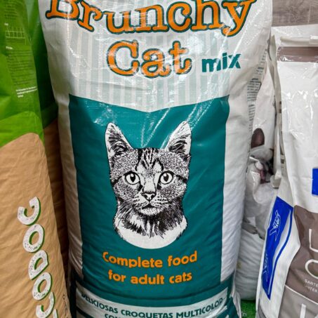 BRUNCHY CAT