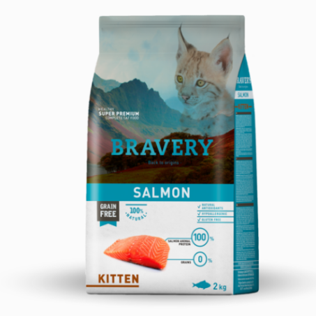 BRAVERY SALMON KITTEN