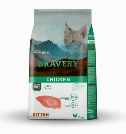 BRAVERY CHICKEN KITTEN