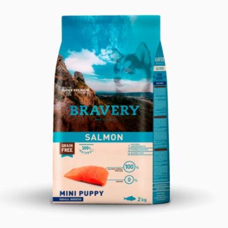 BRAVERY SALMON MINI PUPPY