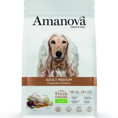 AMANOVA ADULT MEDIUM EXQUISITE CHICKEN